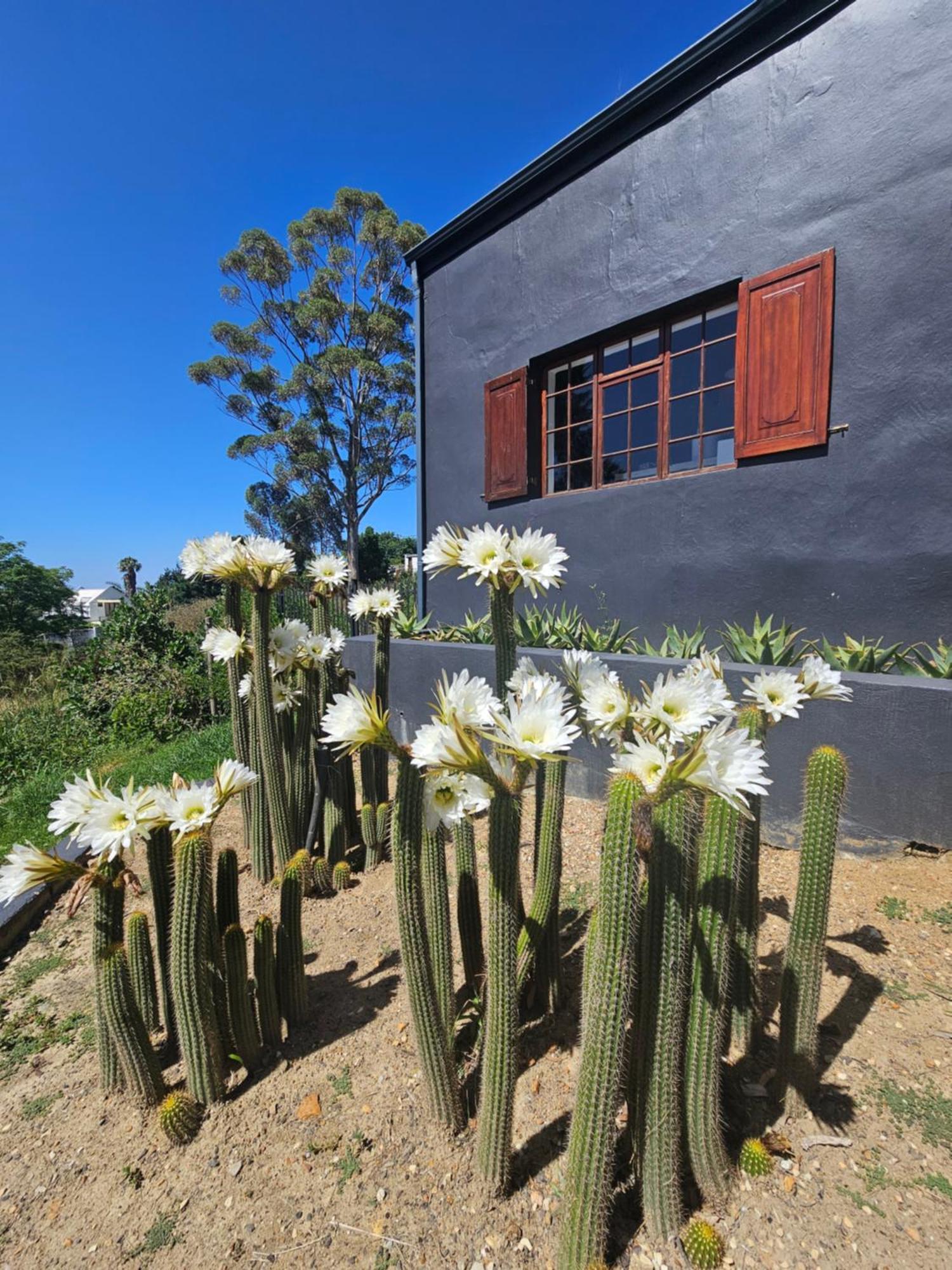 The Retreat Swellendam Villa Bagian luar foto